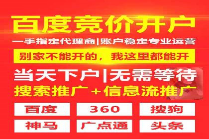 SEM代运营公司案例：优化策略揭秘